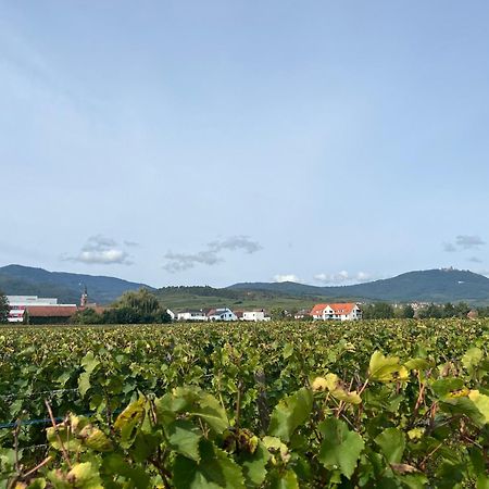 Oasis Tout Confort A Bergheim, Alsace Bagian luar foto